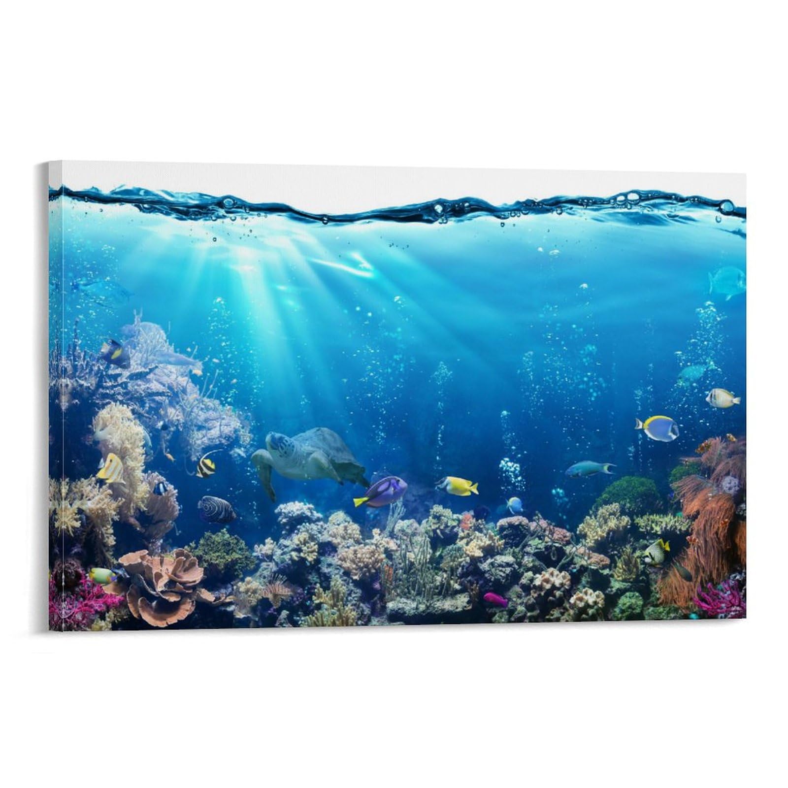 Amazon.co.jp: 熱帯魚サンゴ海洋サンゴ礁自然海の風景ポスター